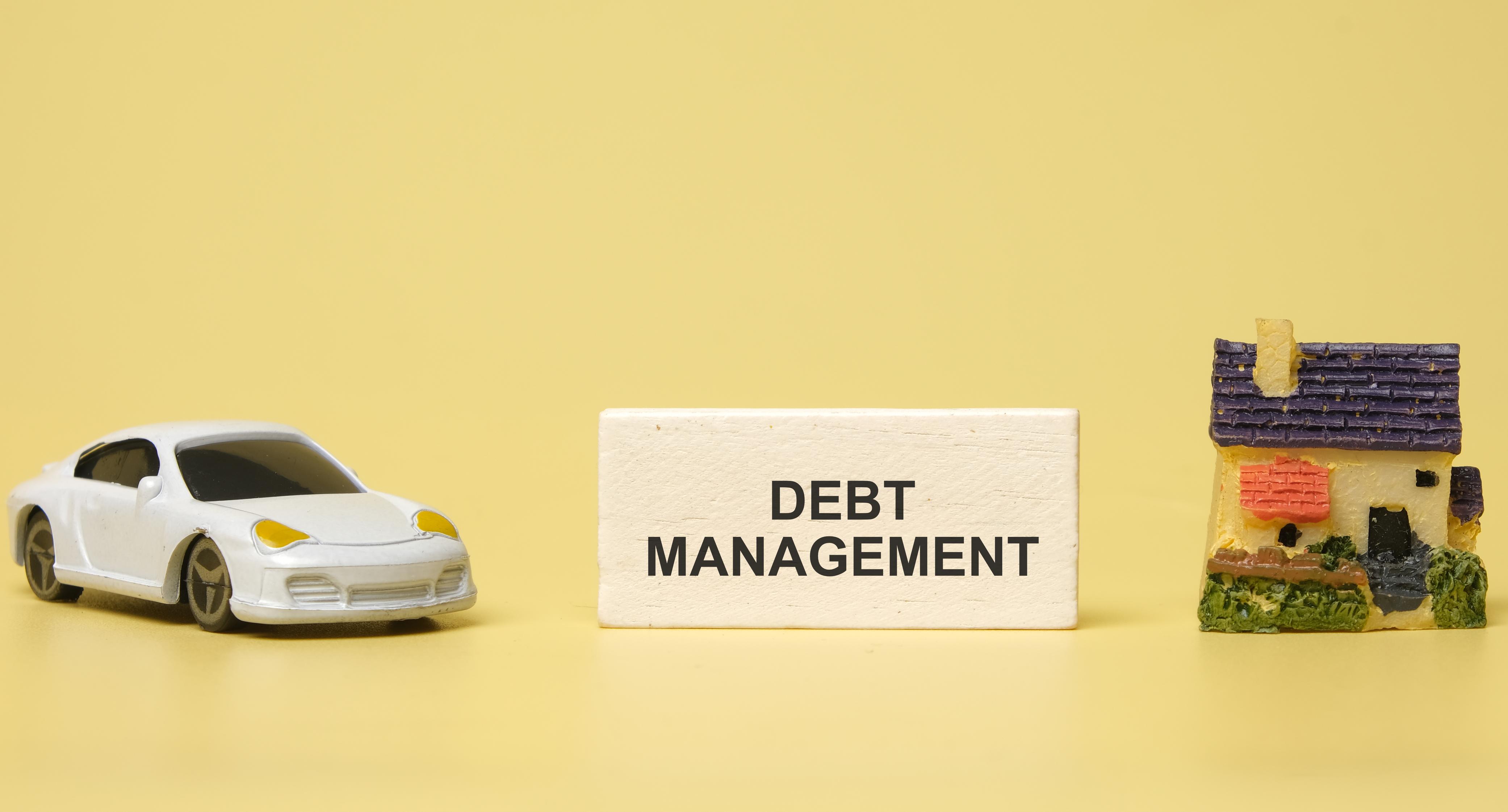 Debt management and reduction